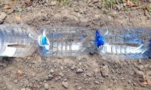 Пластиковые бутылки в огороде