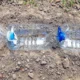 Пластиковые бутылки в огороде