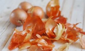 Луковая шелуха