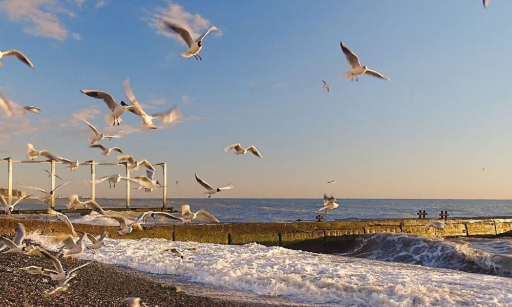 Сочи весной