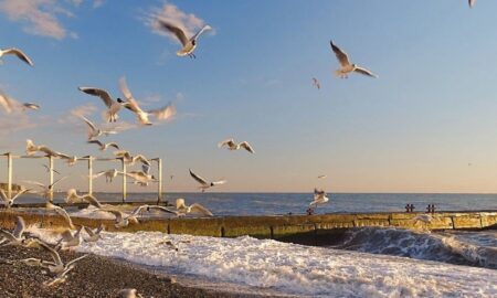 Сочи весной