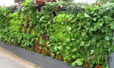 вертикальные грядки