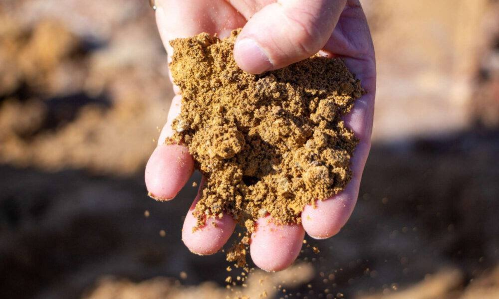 глиняная почва