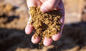 глиняная почва