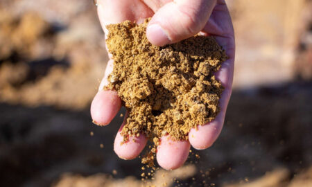 глиняная почва