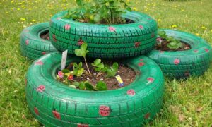 покрышки в саду