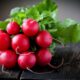 редис