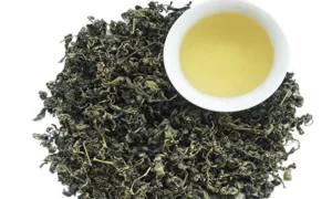 джиаогулан