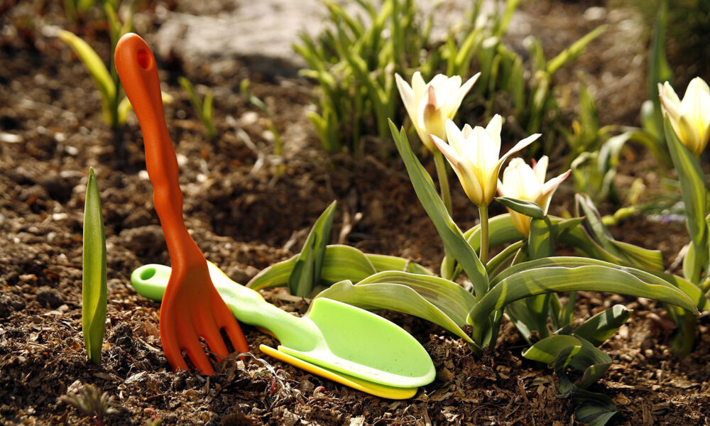 дача в апреле