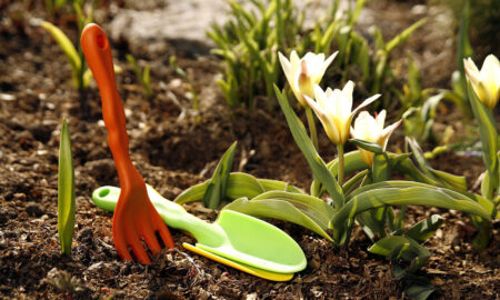 дача в апреле