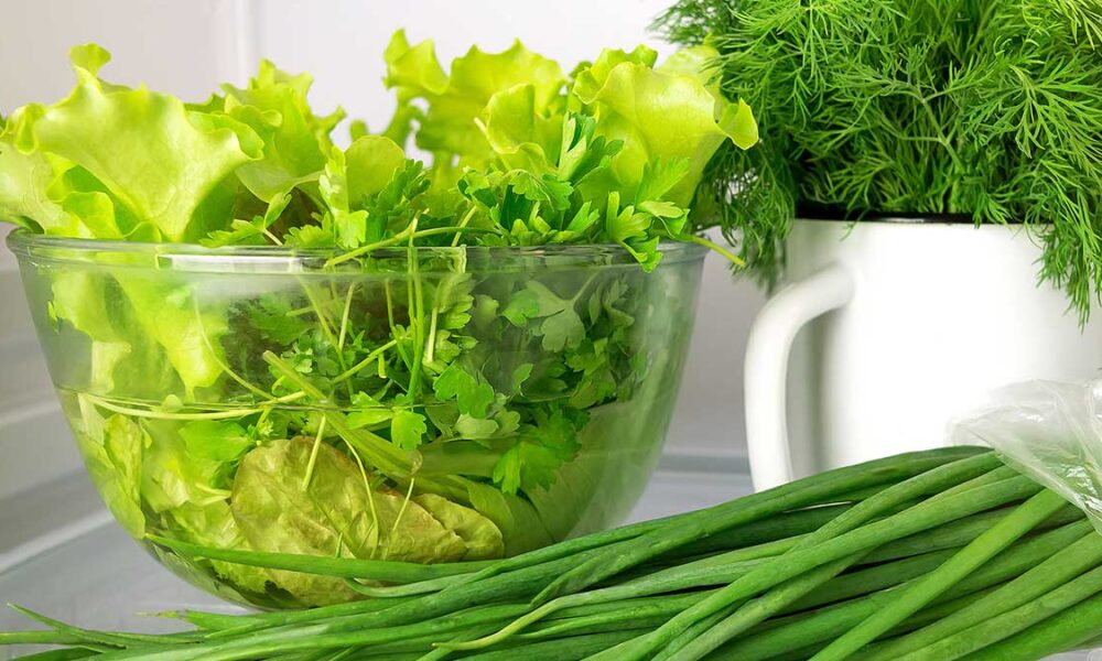 свежая зелень