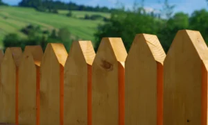 деревянный забор