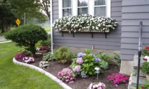 полисадник у фундамента