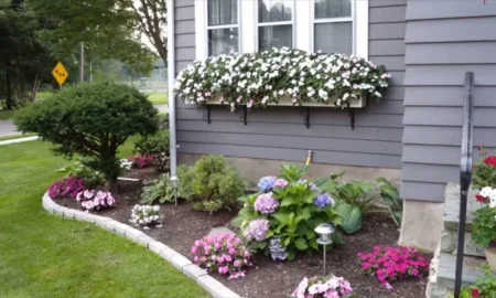 полисадник у фундамента