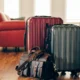 чемоданы