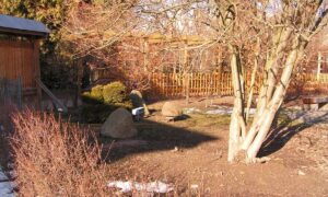 дача весной