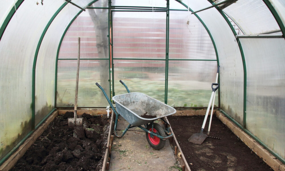 земля в теплице