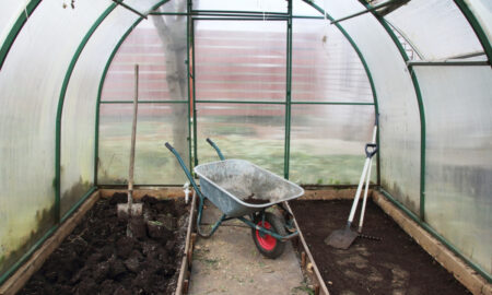 земля в теплице