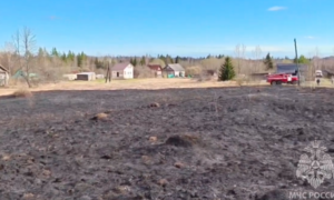 Деревня Руслино в Любытинском округе чуть не сгорела в результате пала травы.