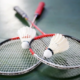 Ракетки для бадминтона