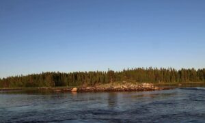 вид на берег с воды