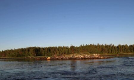 вид на берег с воды