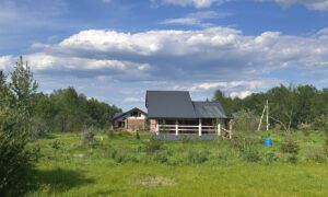 Дом стоит на участке