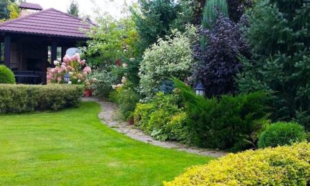 цветущий сад