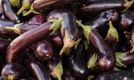 много баклажанов