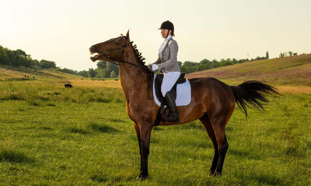 Девушка верхом на лошади на зеленом поле
