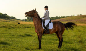 Девушка верхом на лошади на зеленом поле