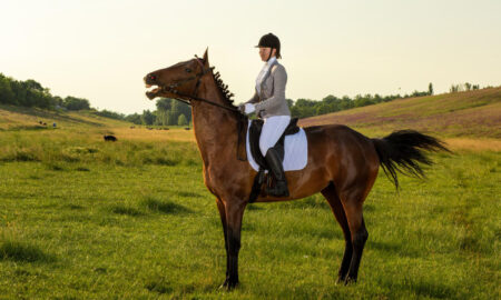 Девушка верхом на лошади на зеленом поле