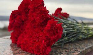 Гвоздики лежат у памятника