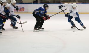 Хоккейный матч