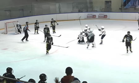 Хоккейный матч