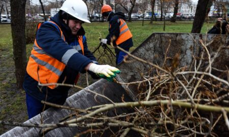 уборка веток