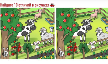 Стоят животные