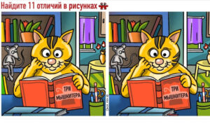 Кот с книгой