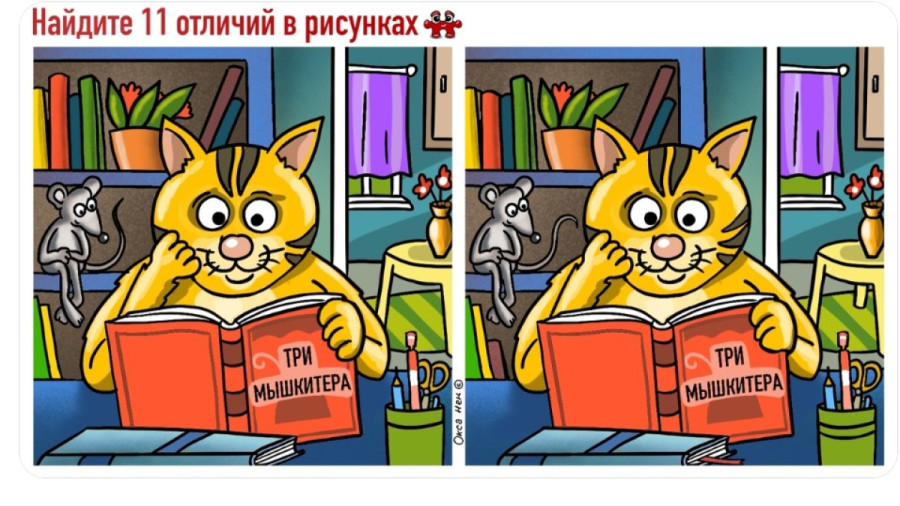 Кот с книгой
