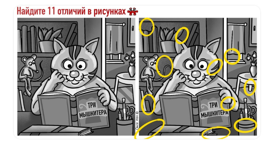 Кот с книгой