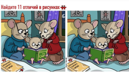 Мышиная семья