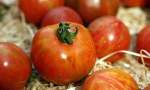 Лежат томаты