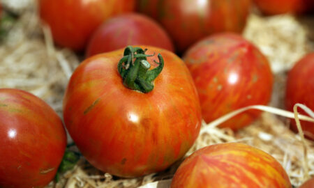 Лежат томаты