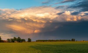 в поле надвигается гроза