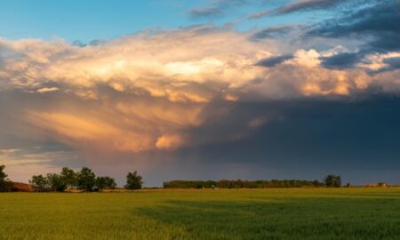 в поле надвигается гроза