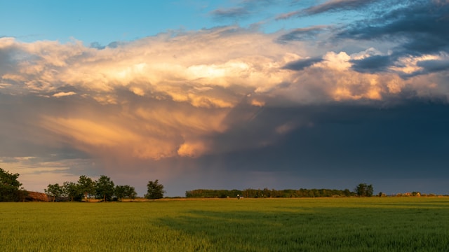 в поле надвигается гроза