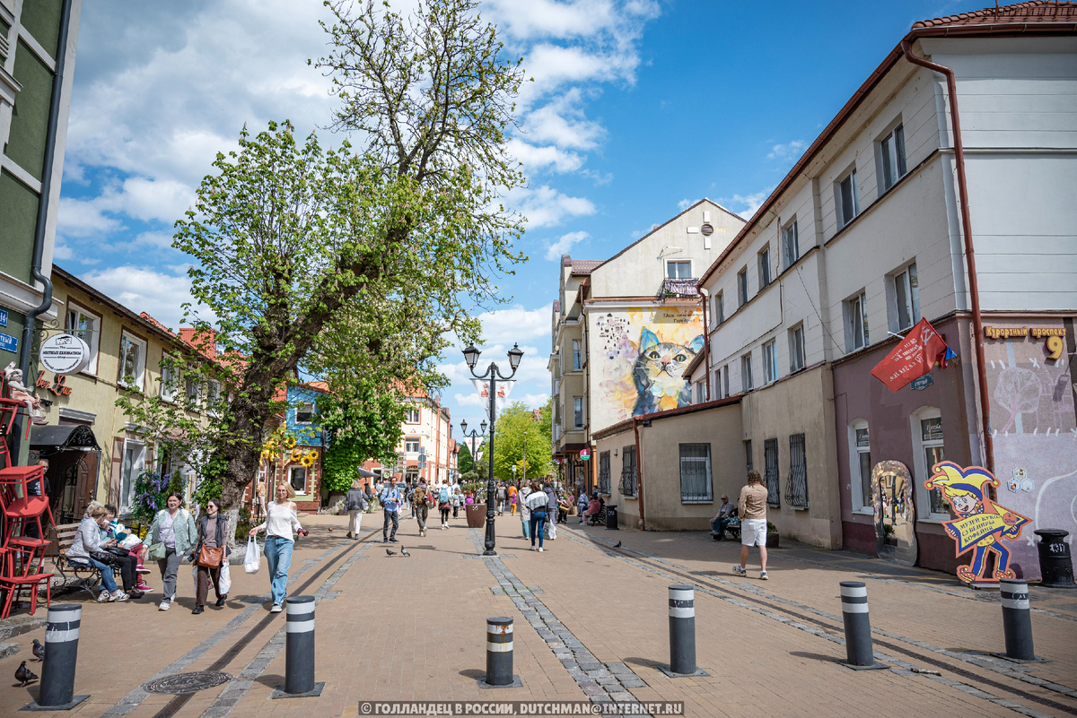 Вид на улицу Зеленоградска