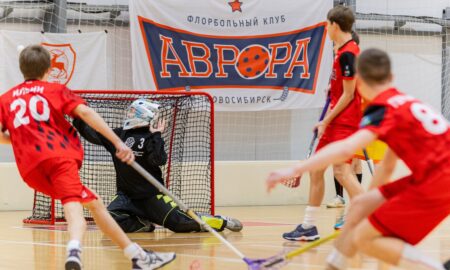 Флорбольный матч