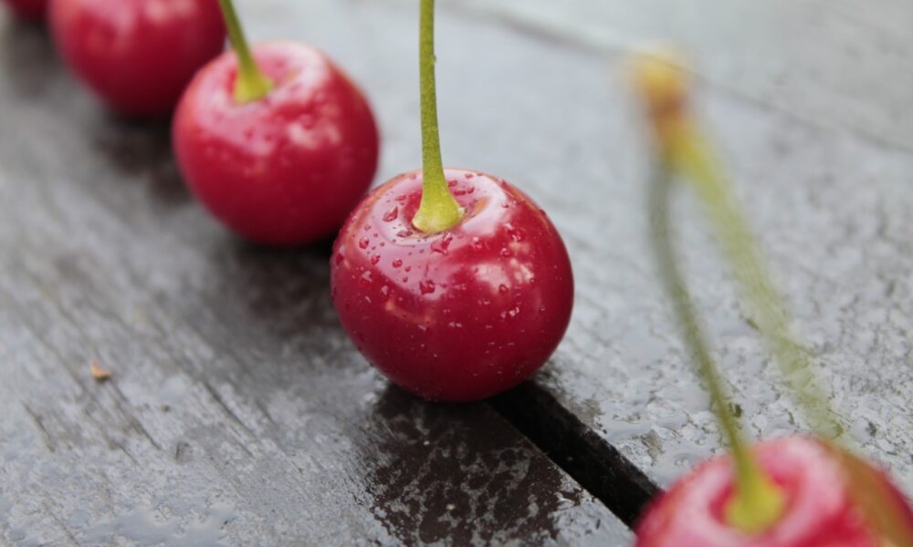 Ягоды вишни.