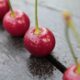 Ягоды вишни.